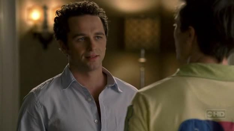Matthew Rhys in Brothers & Sisters (ABC)